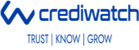 Insights Partner